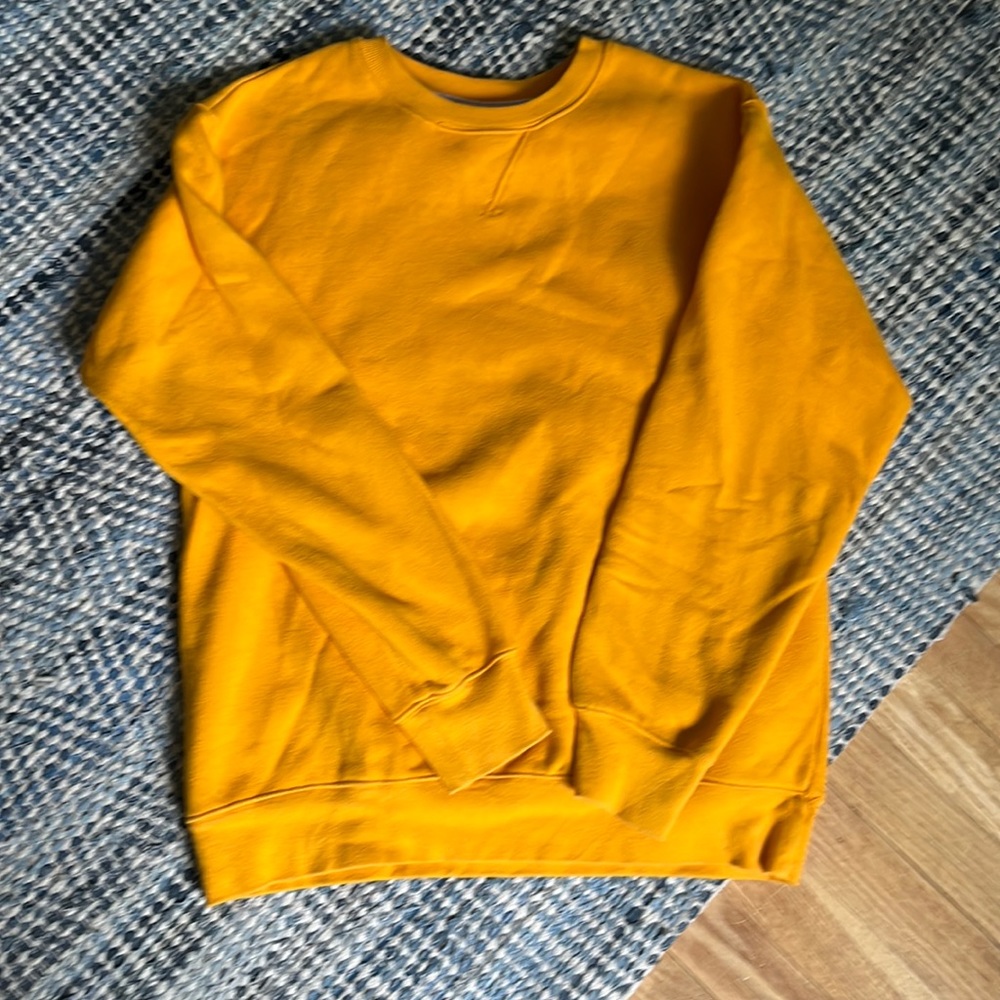 Aritzia TNA sweatshirt
